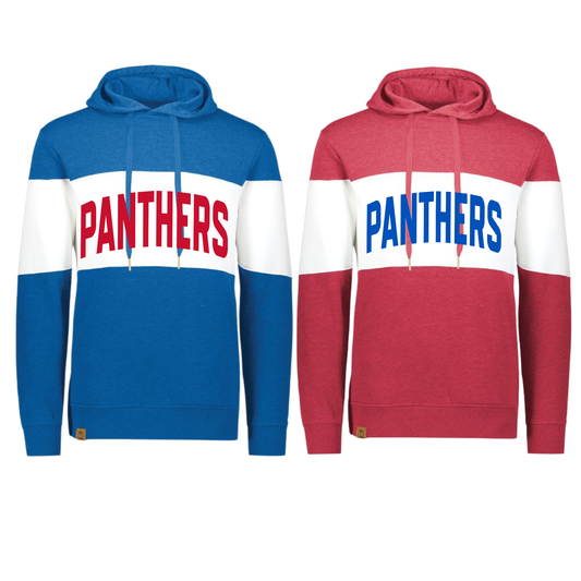 229563 Varsity Striped Hoodie- PANTHERS